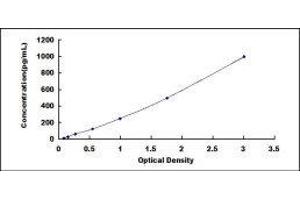 ELISA image for Neurofilament, Light Polypeptide (NEFL) ELISA Kit (ABIN419690)