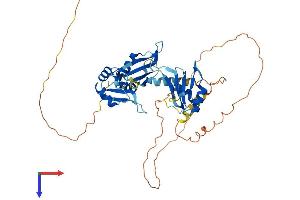 CELF6 Protein (AA 1-460) (His tag)