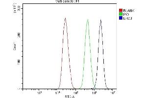 Flow Cytometry analysis of MCF-7 cells using anti-EHD3 antibody (ABIN7602777). (EHD3 Antikörper  (C-Term))