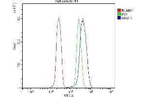 Flow Cytometry analysis of U937 cells using anti-GRSF1 antibody (ABIN7599803).