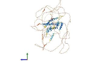 Protein Structure (PS) image for CDKN1A Interacting Zinc Finger Protein 1 (CIZ1) (AA 1-898) protein (His tag) (ABIN7546606)