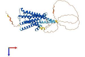 CHRM1 Protein (AA 1-460) (His tag)