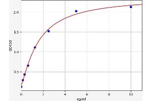 AMACR ELISA Kit