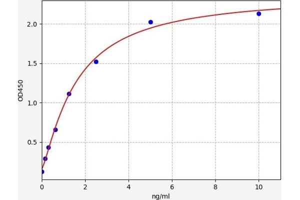 AMACR ELISA Kit