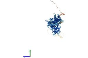 AlphaFold protein structure predicition of Human Recombinant UNC13D Protein, UniprotID Q70J99