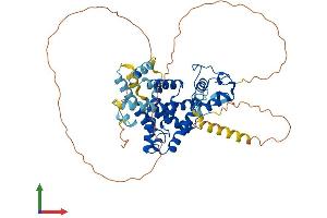 Protein Structure (PS) image for Nuclear Receptor Subfamily 1, Group H, Member 4 (NR1H4) (AA 1-486) protein (His tag) (ABIN7554778)