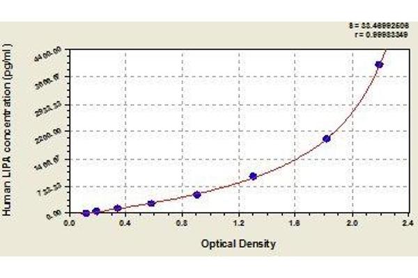 Lipase A ELISA Kit