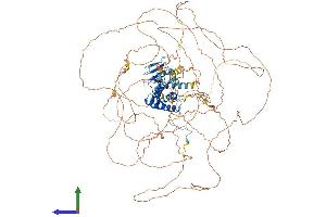 Protein Structure (PS) image for Topoisomerase I Binding, arginine/serine-Rich, E3 Ubiquitin Protein Ligase (TOPORS) (AA 1-1045) protein (His tag) (ABIN7555795)