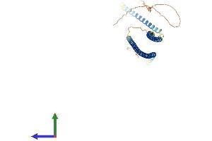 Protein Structure (PS) image for Keratin 13 (KRT13) (AA 1-437) protein (His tag) (ABIN7562762)