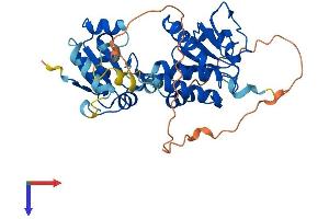 DUSP1 Protein (AA 1-367) (His tag)