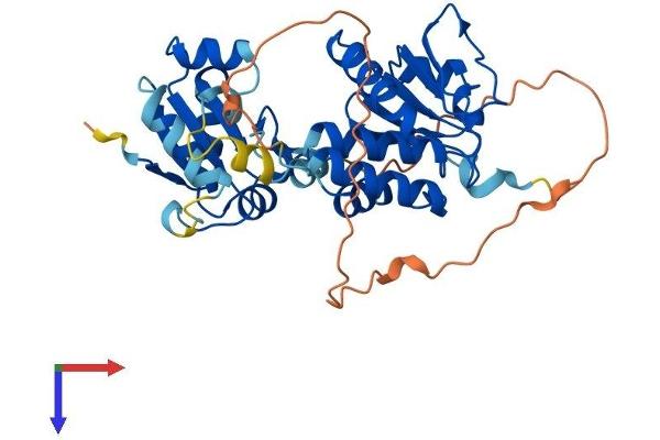 DUSP1 Protein (AA 1-367) (His tag)