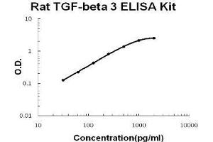 Rat TGF-beta 3 PicoKine ELISA Kit standard curve (TGFB3 ELISA Kit)