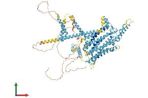 Protein Structure (PS) image for Transmembrane Channel-Like 2 (Tmc2) (AA 1-888) protein (His tag) (ABIN7559764)