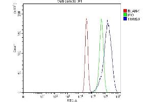 Flow Cytometry analysis of MCF-7 cells using anti-TIMM29 antibody (ABIN7601495). (TIMM29 Antikörper  (AA 37-260))