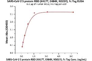 Immobilized Human ACE2, His Tag (ABIN6952618,ABIN6952641) at 2 μg/mL (100 μL/well) can bind SARS-CoV-2 S protein RBD (K417T, E484K, N501Y), Fc Tag (ABIN6992401) with a linear range of 0. (SARS-CoV-2 Spike Protein (P.1 - gamma, RBD) (Fc Tag))