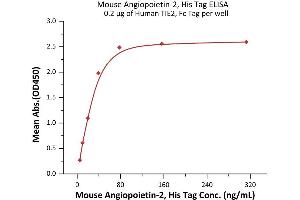 ELISA image for Angiopoietin 2 (ANGPT2) (AA 19-496) (Active) protein (His tag) (ABIN6992353)