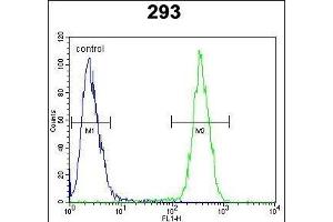 CLPX Antibody (C-term) (ABIN654723 and ABIN2844412) flow cytometric analysis of 293 cells (right histogram) compared to a negative control cell (left histogram). (CLPX Antikörper  (C-Term))
