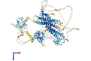 Radil Protein (AA 1-1099) (His tag)