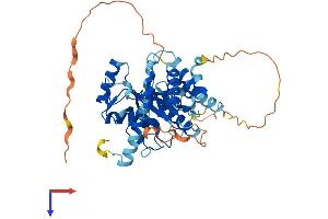 UBE2Q1 Protein (AA 1-422) (His tag)