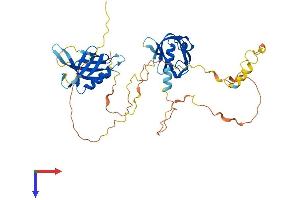 DOK2 Protein (DOK2) (AA 1-412) (His tag)