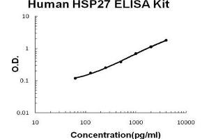 Human HSP27 PicoKine ELISA Kit standard curve (HSP27 ELISA Kit)