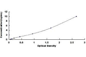 GSTO1 ELISA Kit