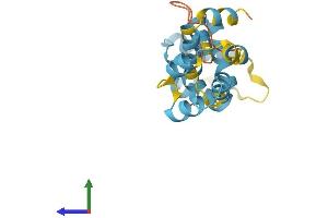 Protein Structure (PS) image for PYD and CARD Domain Containing (PYCARD) (AA 1-193) protein (His tag) (ABIN7565022)