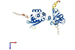 DUSP12 Protein (AA 1-339) (His tag)
