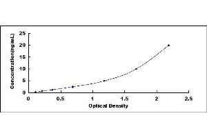 Typical standard curve (PCSK2 ELISA Kit)