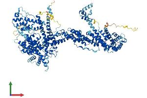 Protein Structure (PS) image for Cytoplasmic FMR1 Interacting Protein 1 (CYFIP1) (AA 1-1253) protein (His tag) (ABIN7553608)