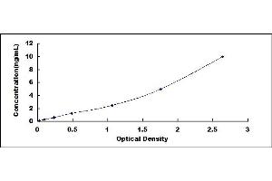 Typical standard curve (MFN2 ELISA Kit)