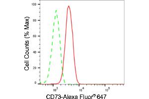 Flow cytometric analysis of CD73 expression in HepG2 cells using CD73 antibody (ABIN7797429), 1:2,000).