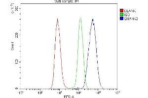 Flow Cytometry analysis of Raji cells using anti-SHANK3 antibody (ABIN7600006).