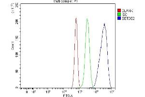 Flow Cytometry analysis of RH35 cells using anti-CLLD8/Setdb2 antibody (ABIN7600560).