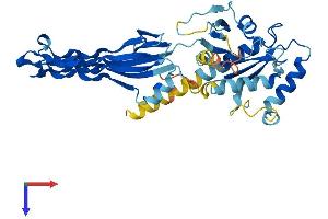 GTPBP10 Protein (AA 1-366) (His tag)