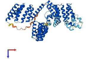 STIP1 Protein (AA 1-543) (His tag)