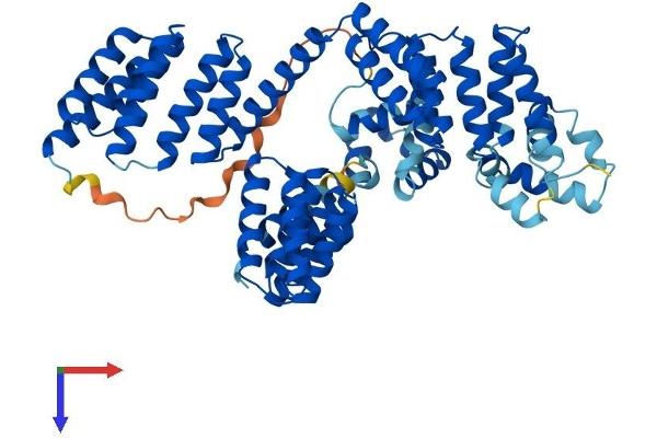 STIP1 Protein (AA 1-543) (His tag)