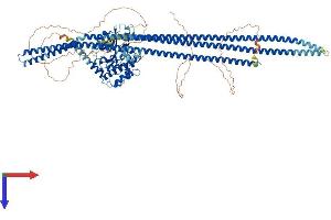 TAO Kinase 1 (TAOK1) (AA 1-1001) protein (His tag)