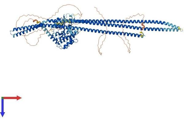 TAO Kinase 1 (TAOK1) (AA 1-1001) protein (His tag)