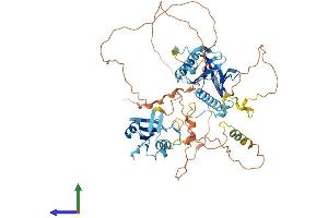 AlphaFold protein structure predicition of Mouse Recombinant Shc2 Protein, UniprotID Q8BMC3
