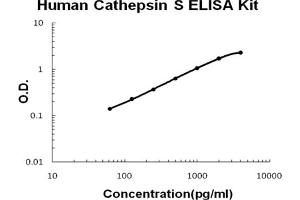 Human Cathepsin S Accusignal ELISA Kit Human Cathepsin S AccuSignal ELISA Kit standard curve.