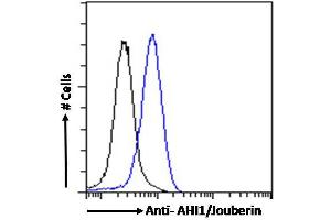 ABIN185303 Flow cytometric analysis of paraformaldehyde fixed HeLa cells (blue line), permeabilized with 0. (AHI1 Antikörper  (N-Term))
