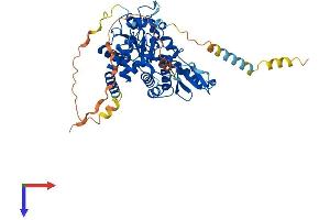 CDC14B Protein (AA 1-485) (His tag)