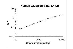 Glypican 4 (GPC4) ELISA Kit