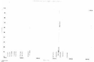 HFE2 Protein (Ovalbumin)