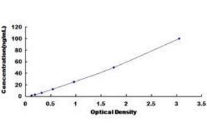 ELISA image for Lactotransferrin (LTF) ELISA Kit (ABIN413929)