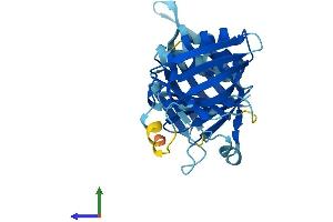 Protein Structure (PS) image for HUS1 Checkpoint Homolog B (HUS1B) (AA 1-276) protein (His tag) (ABIN7559588)