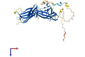 Arrestin Domain Containing 3 (ARRDC3) (AA 1-414) protein (His tag)