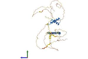 Protein Structure (PS) image for Periphilin 1 (PPHLN1) (AA 1-458) protein (His tag) (ABIN7555060)