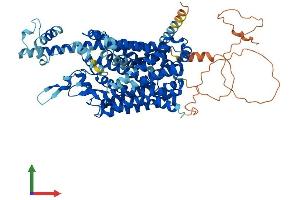 AlphaFold protein structure predicition of Mouse Recombinant Slc6a15 Protein, UniprotID Q8BG16